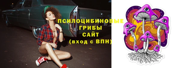 прущие грибы Нязепетровск