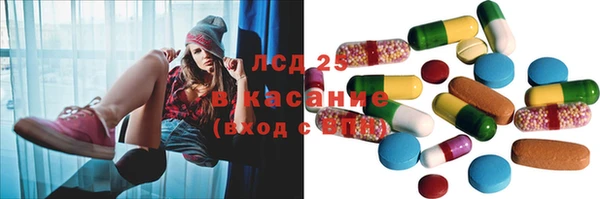 прущие грибы Нязепетровск