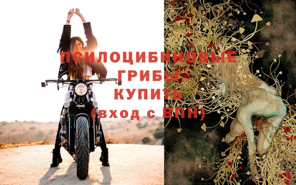 ALPHA PVP Нягань