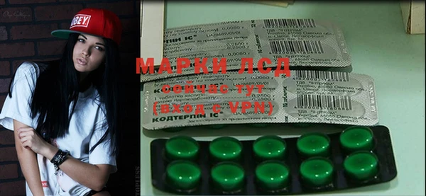 прущие грибы Нязепетровск