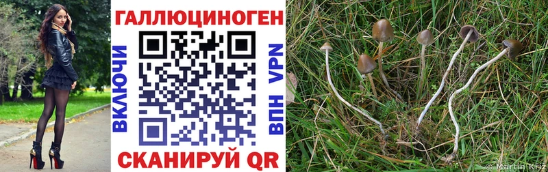 Псилоцибиновые грибы GOLDEN TEACHER  Купить закладки  Смоленск 